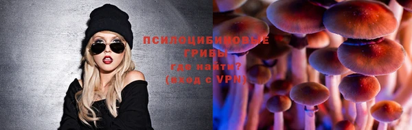 меф Дмитровск