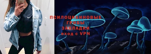 МДПВ Дмитриев