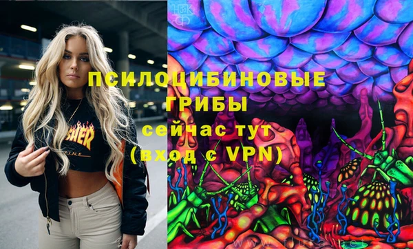 spice Дмитров