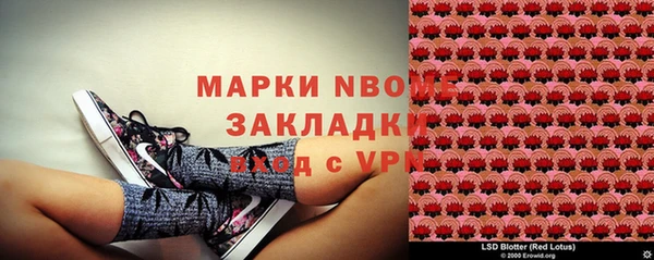 МДПВ Дмитриев