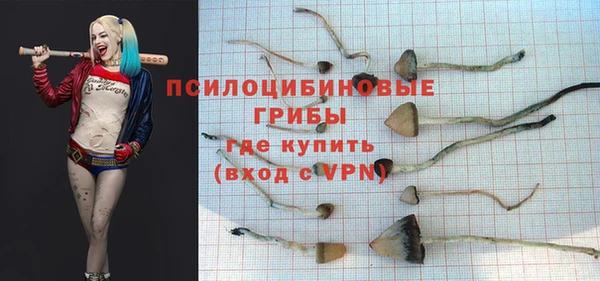 МДПВ Дмитриев